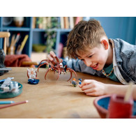 LEGO 76434 Aragog en el Bosque Prohibido - Harry Potter - 195 Piezas