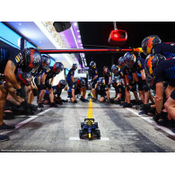 LEGO 42206 Coche Oracle Red Bull Racing RB20 - F1 - 1639 Piezas