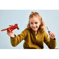 LEGO 76448 Fawkes™: Fénix de Dumbledore - Harry Potter - 299 Piezas