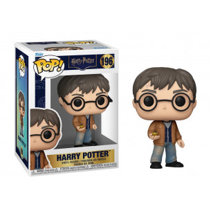 PRE-PEDIDO Funko Pop 196 Harry Potter - Harry Potter