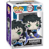 Pre-pedido Funko Pop Kaigaku - Demon Slayer