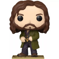 PRE-PEDIDO COLECCIÓN FUNKO POP Harry Potter | Super Arcade