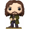 PRE-PEDIDO COLECCIÓN FUNKO POP Harry Potter | Super Arcade